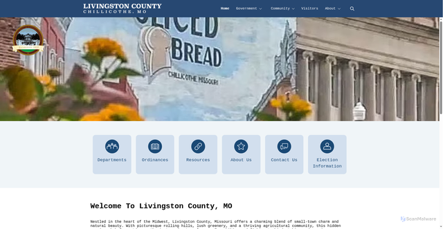 Security scan screenshot of https://livingstoncountymo.gov/