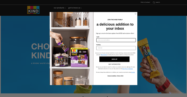 Security scan screenshot of https://www.kindsnacks.com