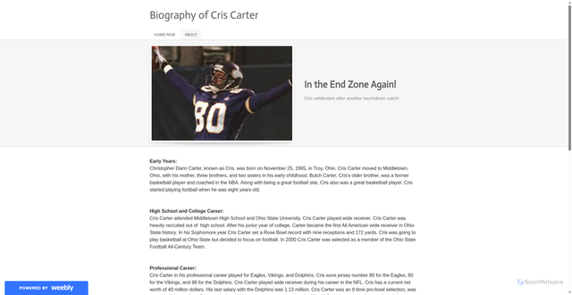 Security scan screenshot of https://criscarter.weebly.com/about.html