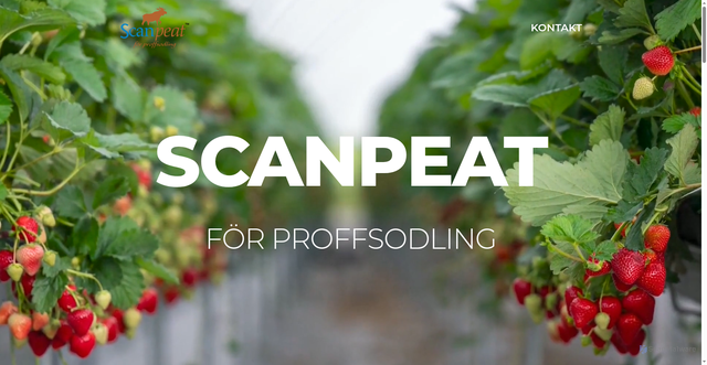 Security scan screenshot of https://scanpeat.se