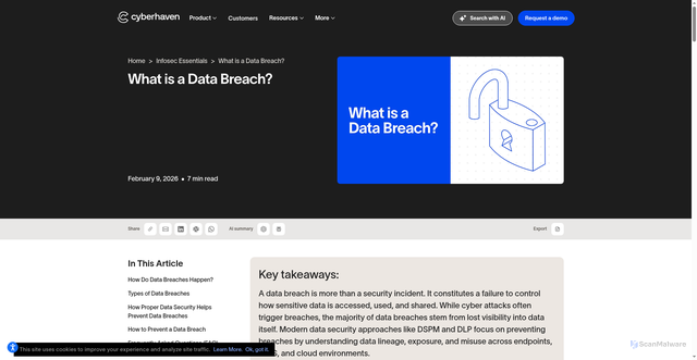 Security scan screenshot of https://www.cyberhaven.com/infosec-essentials/what-is-data-breach