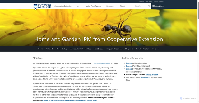 Security scan screenshot of https://extension.umaine.edu/home-and-garden-ipm/fact-sheets/spiders/