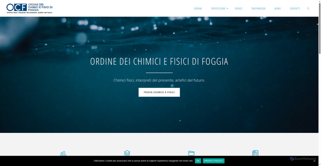 Security scan screenshot of https://www.chimicifisicifoggia.it/