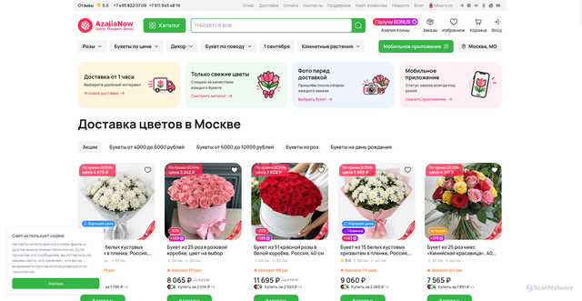 Security scan screenshot of https://azalianow.ru
