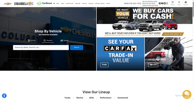 Security scan screenshot of https://www.colussy.com