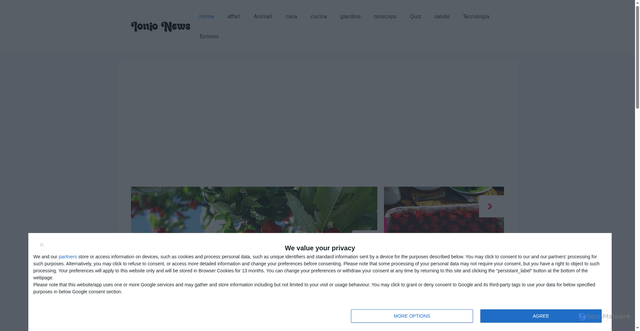 Security scan screenshot of https://www.ioniocatanzarese.it/