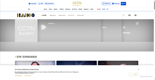 Security scan screenshot of https://www.cri.cn