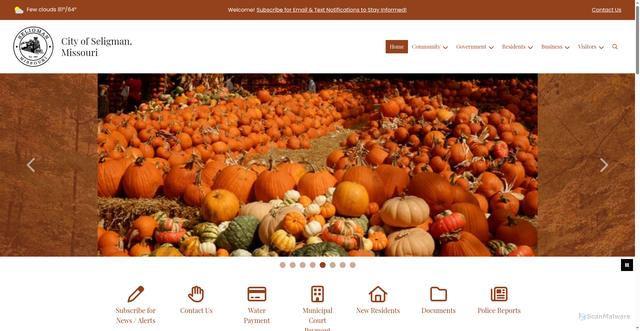 Security scan screenshot of https://seligmanmo.gov/