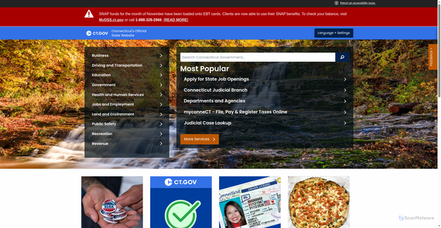 Security scan screenshot of https://portal.ct.gov/