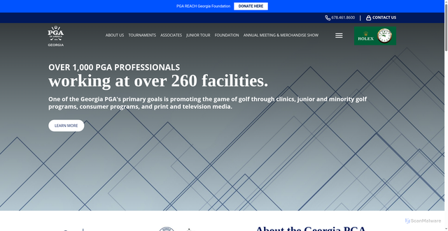 Security scan screenshot of https://georgiapga.com/