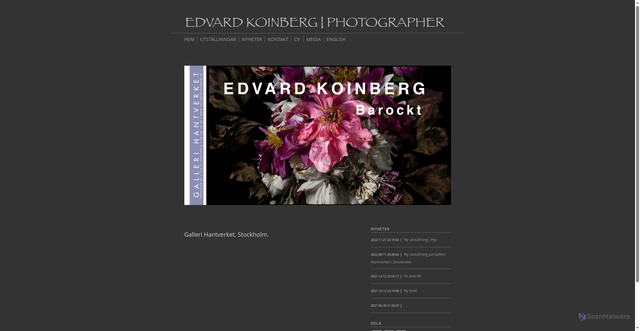 Security scan screenshot of https://koinbergbild.se