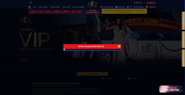 Security scan screenshot of https://mrritking1695.com/vip