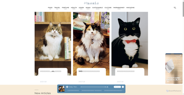 Security scan screenshot of https://hanako.tokyo