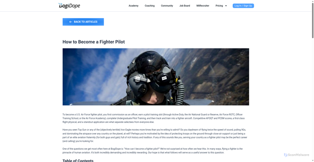 Security scan screenshot of https://bogidope.com/how-can-i-become-a-fighter-pilot/