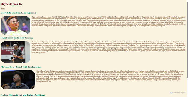 Security scan screenshot of https://avirajkahlon.com/Bryce.html