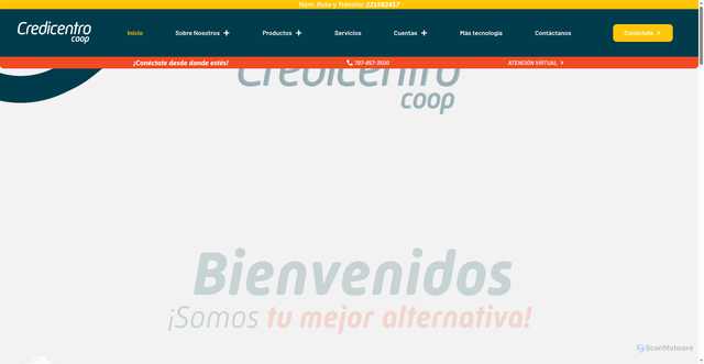Security scan screenshot of http://online-portal-acceso.com/