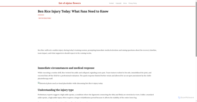 Security scan screenshot of https://vistalokalflow-dpmdyp2ylod7.edgeone.app/ben-rice-injury-today.html
