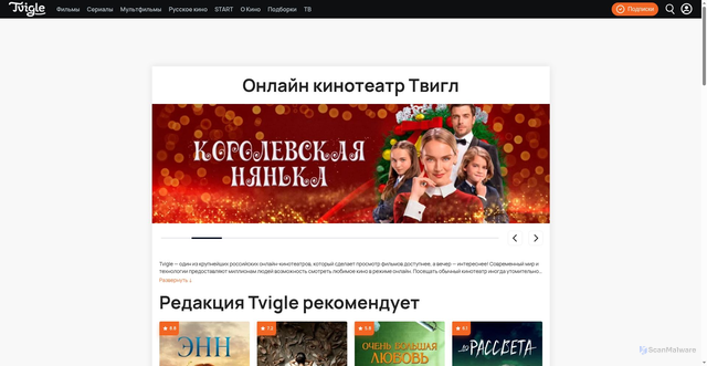 Security scan screenshot of https://tvigle.ru