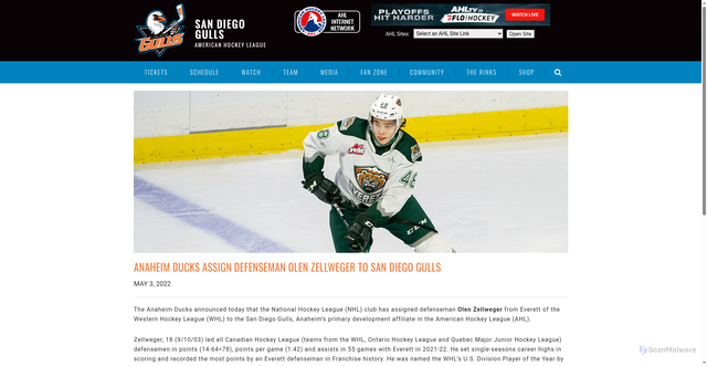 Security scan screenshot of https://www.sandiegogulls.com/news/detail/anaheim-ducks-assign-olen-zellweger-to-san-diego-gulls