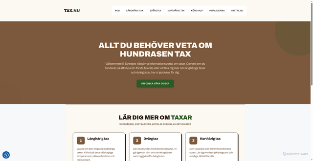 Security scan screenshot of https://tax.nu