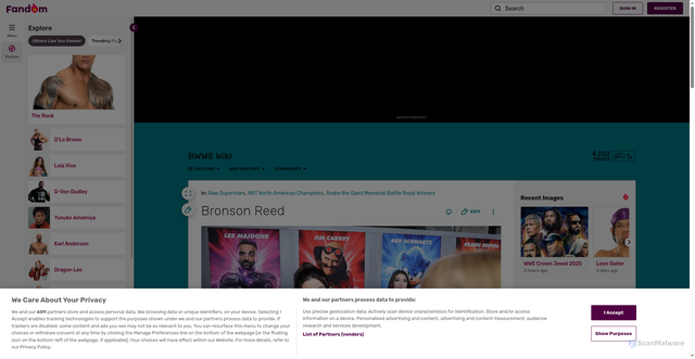 Security scan screenshot of https://bwwe.fandom.com/wiki/Bronson_Reed