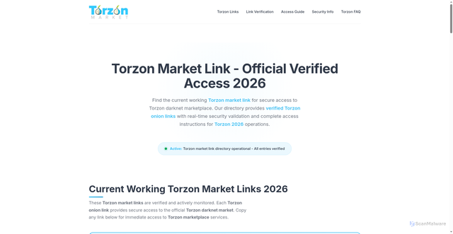 Security scan screenshot of https://torzondrug.icu/