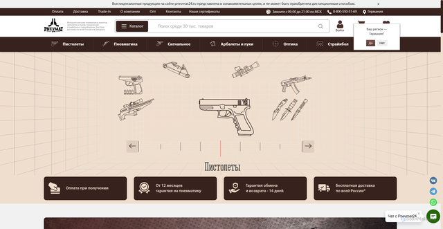 Security scan screenshot of https://pnevmat24.ru