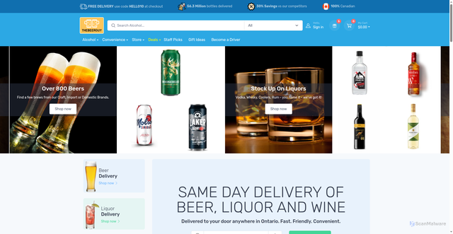 Security scan screenshot of https://www.thebeerguy.ca