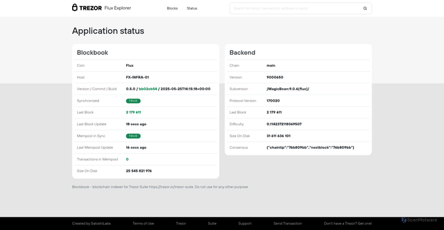 Security scan screenshot of https://blockbook.runonflux.io