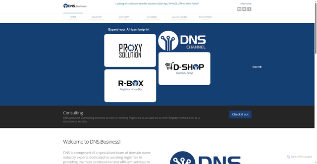 Security scan screenshot of https://dns.net.za