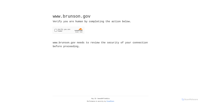 Security scan screenshot of https://www.brunson.gov/