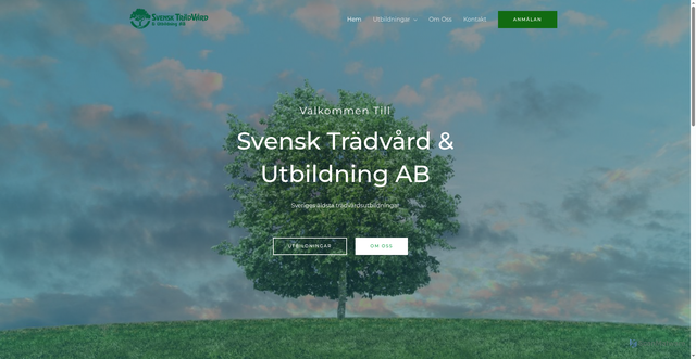 Security scan screenshot of https://svensktradvard.se