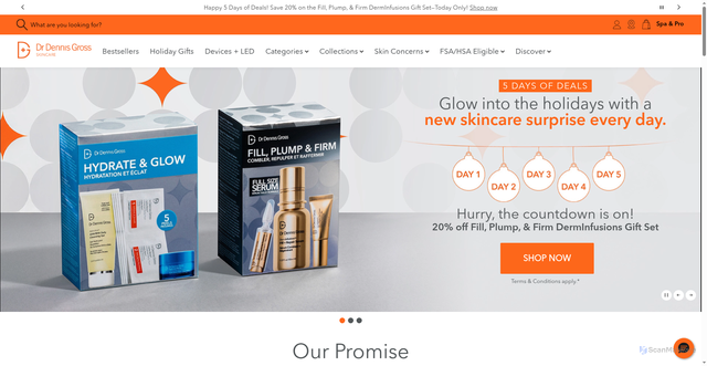 Security scan screenshot of https://www.drdennisgross.com