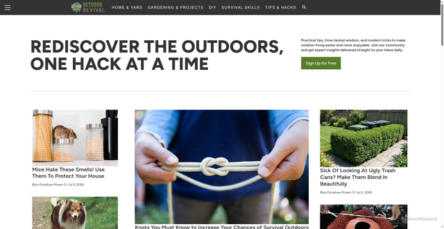 Security scan screenshot of https://outdoorrevival.com