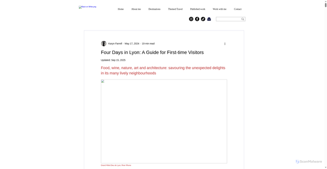 Security scan screenshot of https://www.theindietripper.com/post/lyon-guide-first-time-visitors