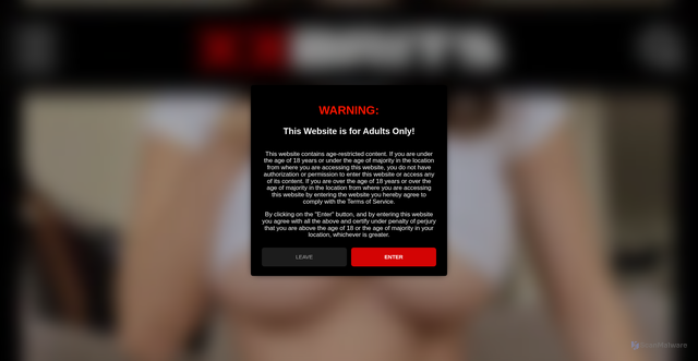 Security scan screenshot of https://bazian-bois-sel.fr/category/deals-of-the-week