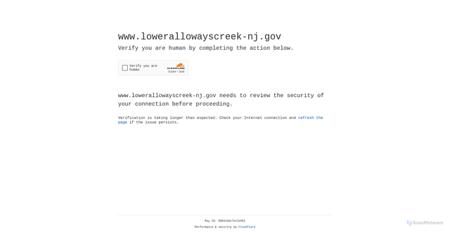 Security scan screenshot of https://www.lowerallowayscreek-nj.gov/