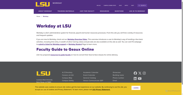 Security scan screenshot of https://www.lsu.edu/workday/index.php
