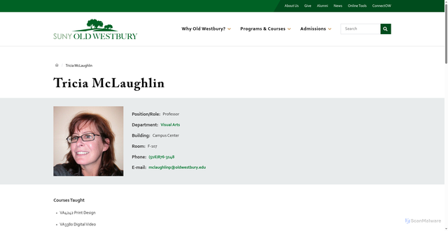 Security scan screenshot of https://www.oldwestbury.edu/people/tricia-mclaughlin