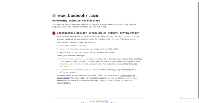 Security scan screenshot of https://authentication.bamboohr.com