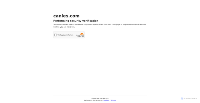 Security scan screenshot of https://canles.com