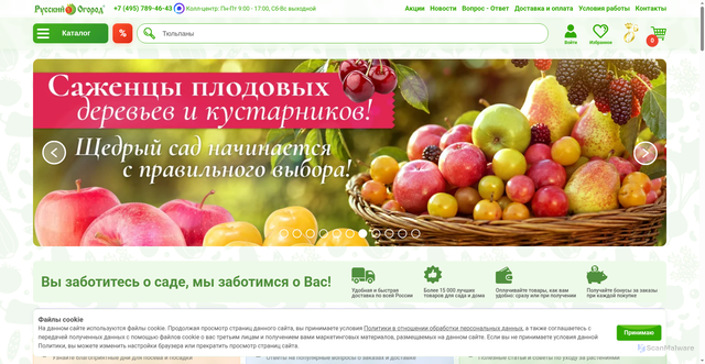 Security scan screenshot of https://ncsemena.ru