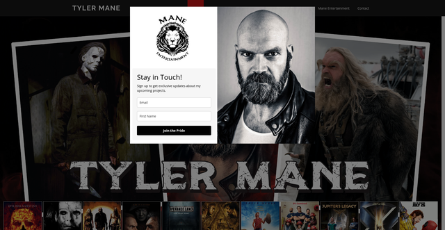 Security scan screenshot of https://tylermane.com/
