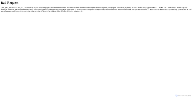 Security scan screenshot of https://rc10-fc07.oray.com