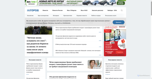 Security scan screenshot of https://prochepetsk.ru