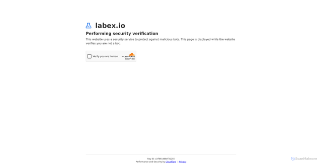 Security scan screenshot of https://labex.io