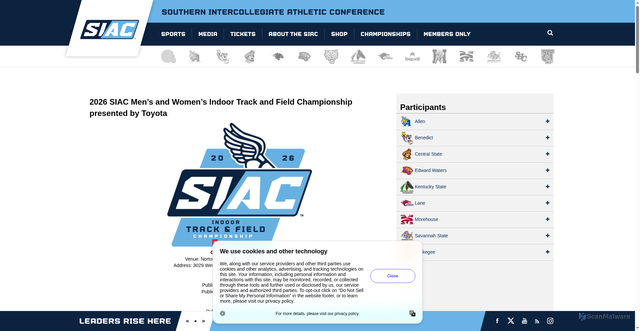 Security scan screenshot of https://thesiac.com/tournaments/?id=105