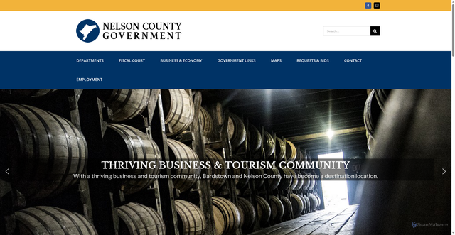 Security scan screenshot of https://nelsoncountyky.gov/