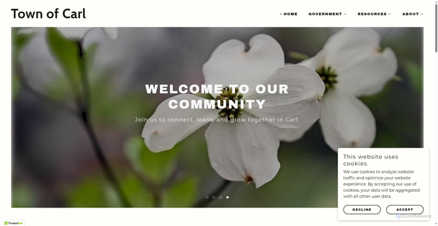 Security scan screenshot of https://townofcarl.gov/