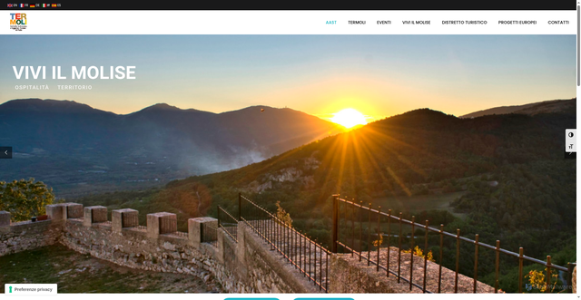 Security scan screenshot of https://www.termoli.net